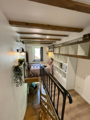Appartement lac et montagne Gérardmer